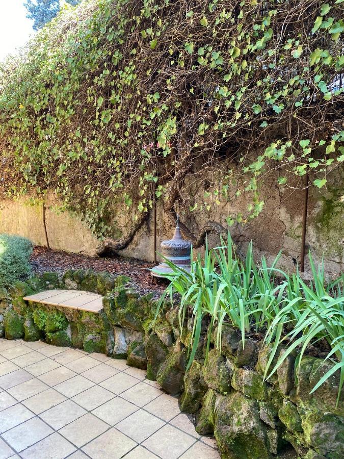 Trastevere Oasi Garden Apartment - Roma 外观 照片