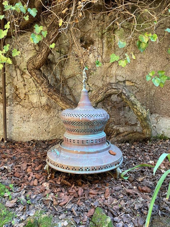 Trastevere Oasi Garden Apartment - Roma 外观 照片