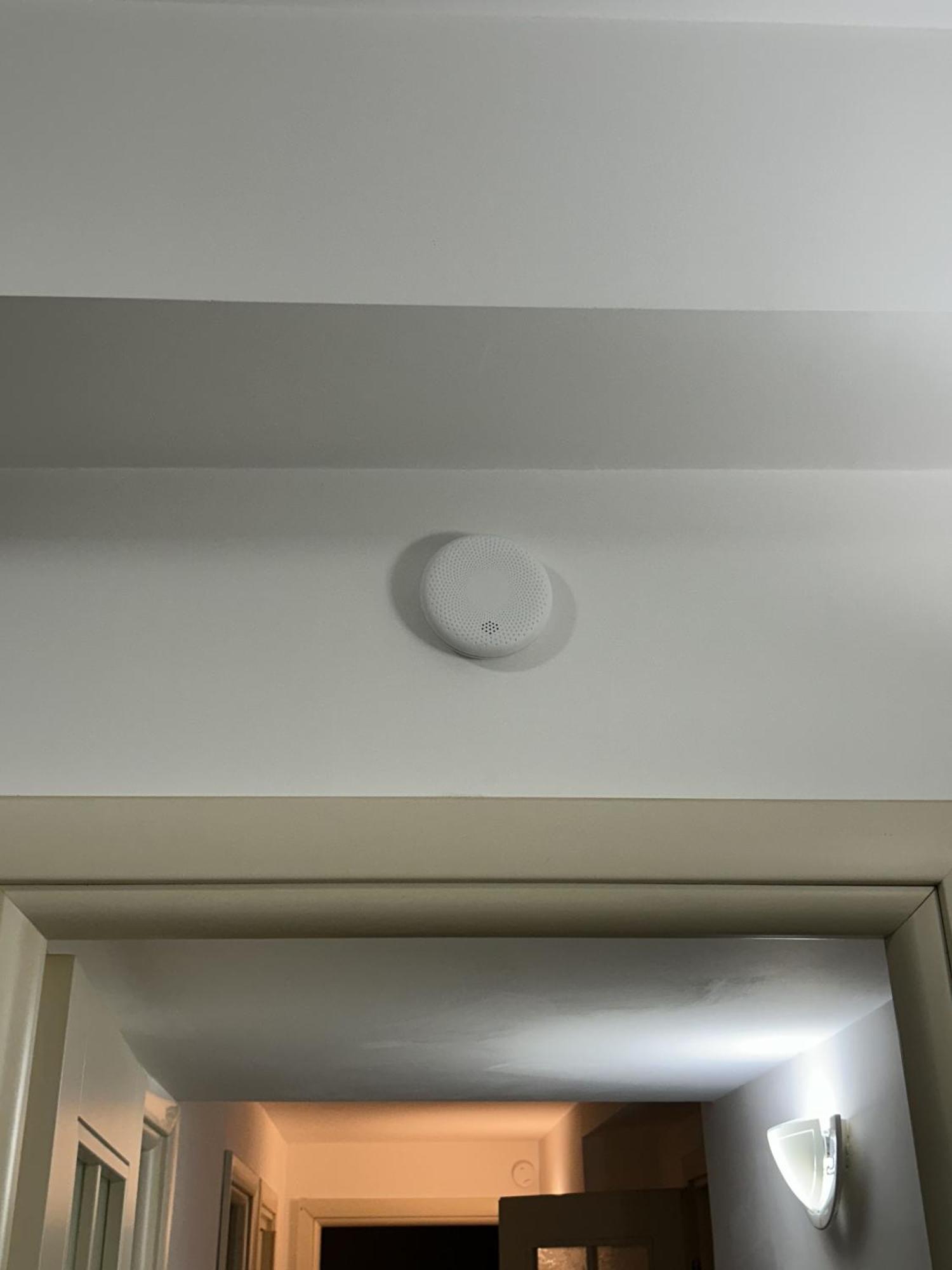 Trastevere Oasi Garden Apartment - Roma 外观 照片